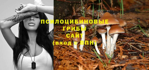 прущие крисы Абаза