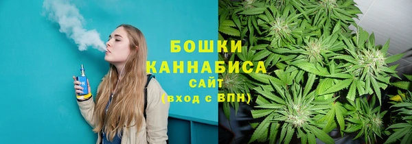 прущие крисы Абаза