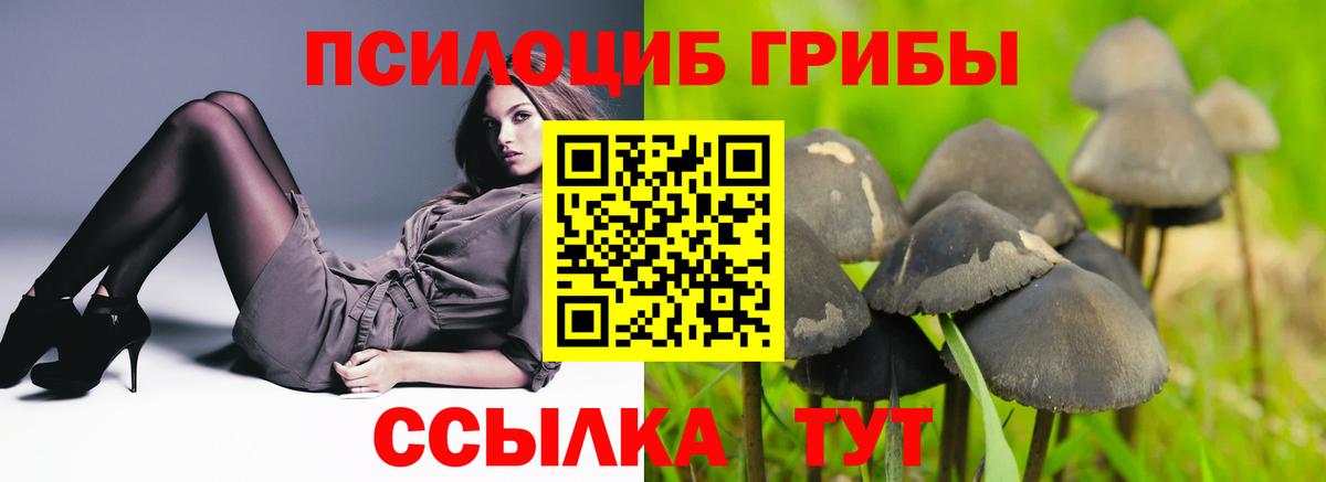 Галлюциногенные грибы Psilocybe Уфа